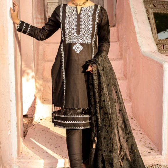 Pakistani shalwar kameez by Mannat - Picture 4 of 5